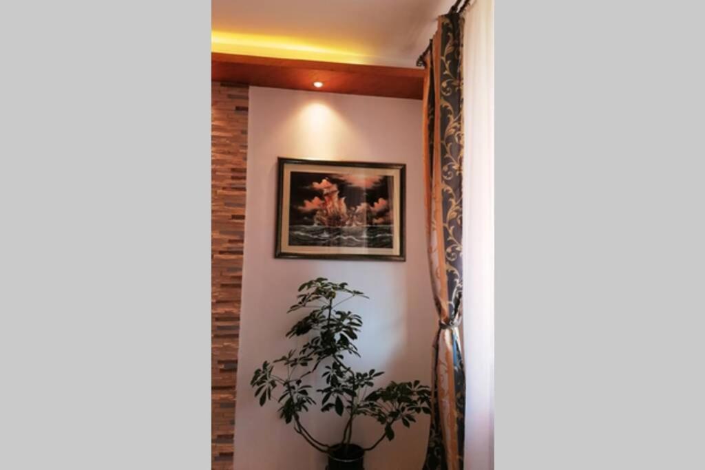 Oasis Felix Apartment Beograd Eksteriør bilde